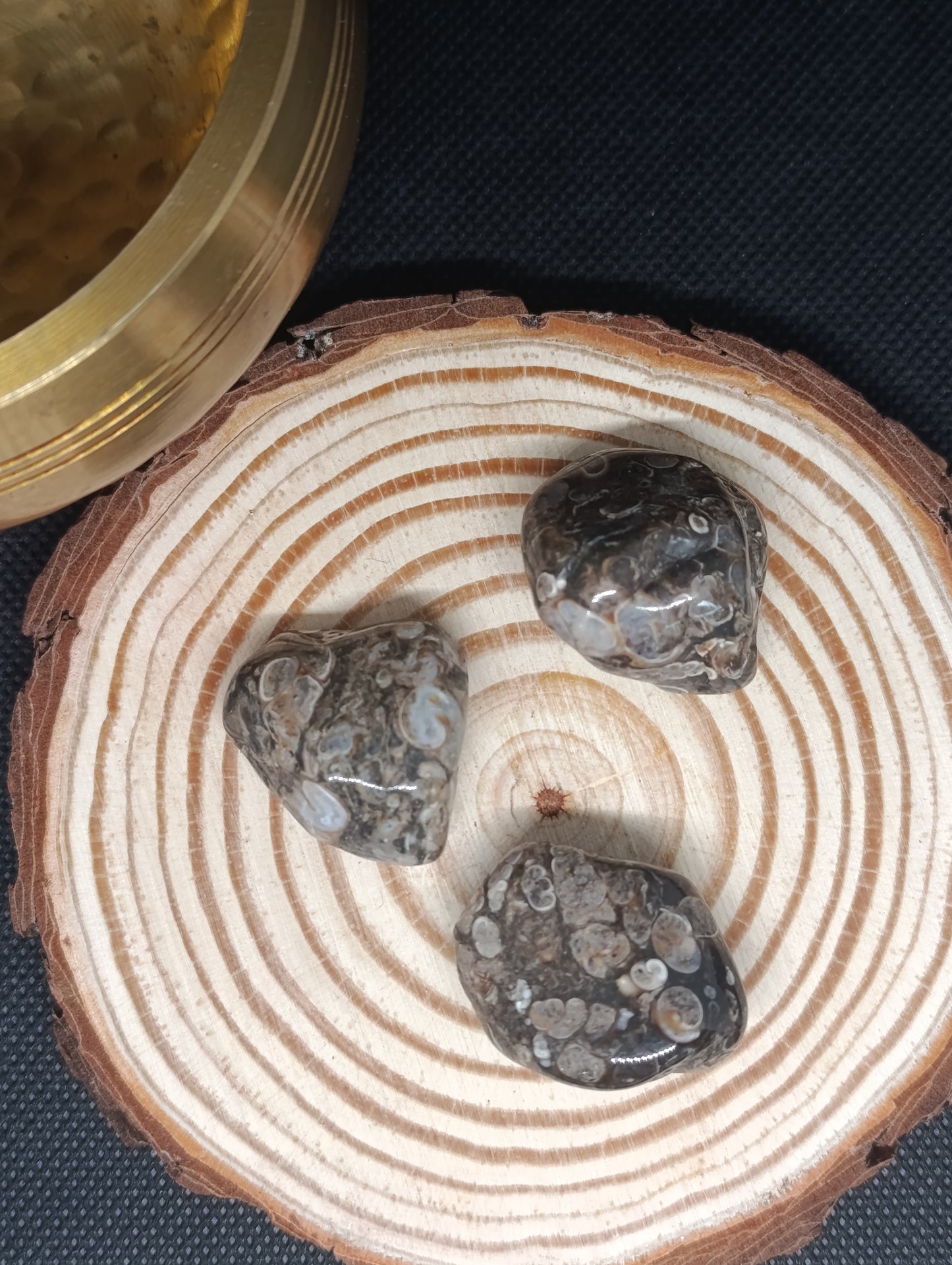 Pierre Roulée Agate Fossile