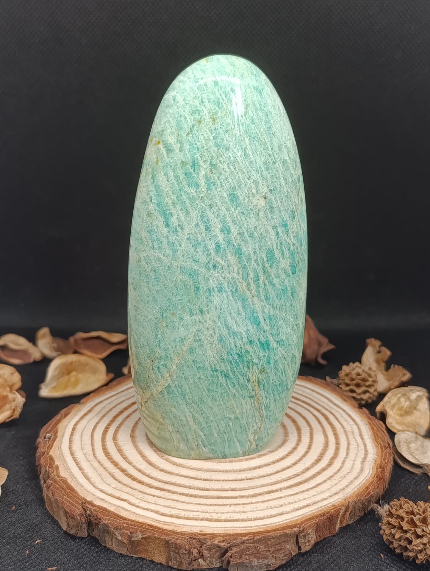 Forme libre Amazonite - 367gr