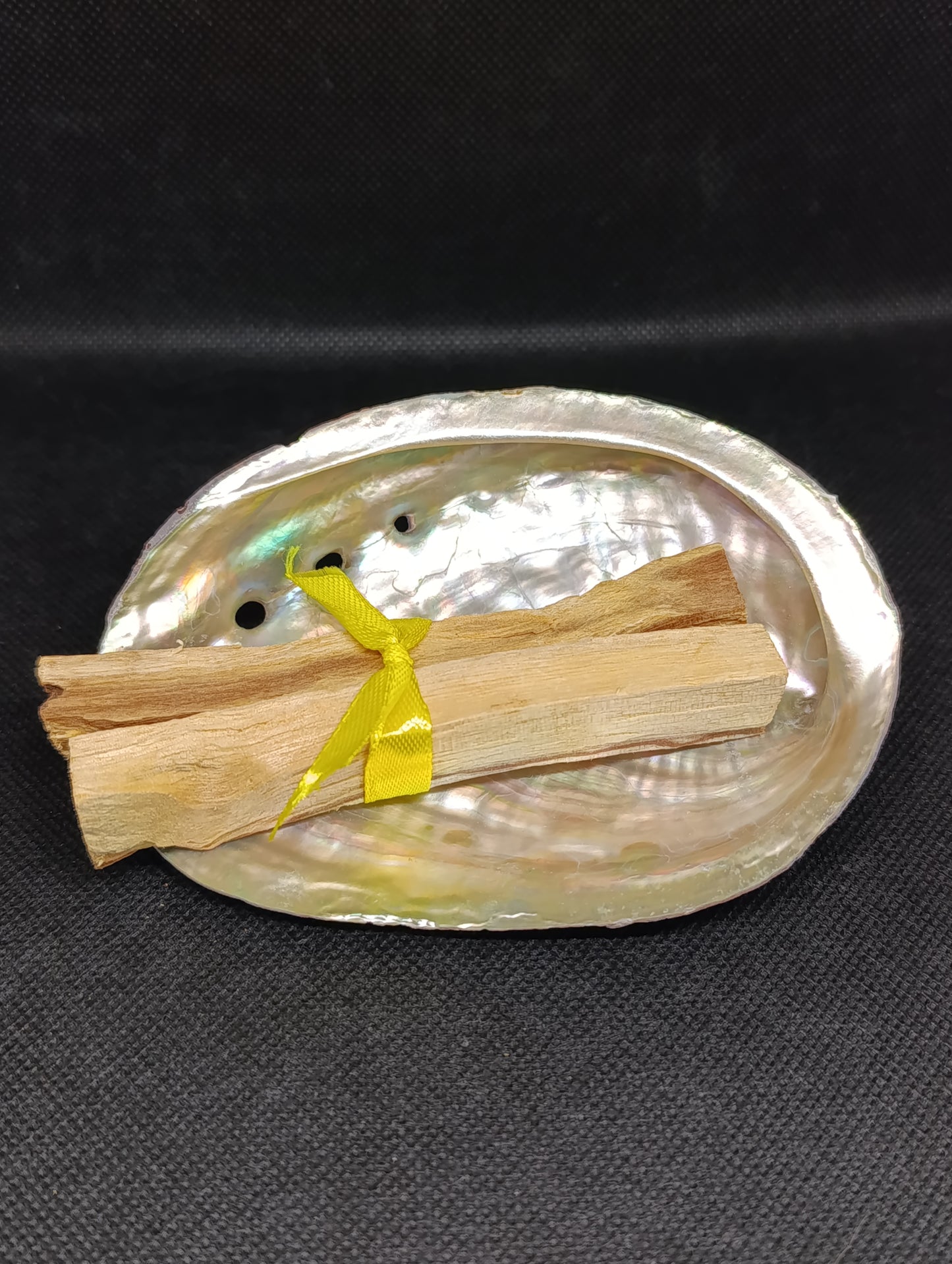 Coquille d'Ormeau