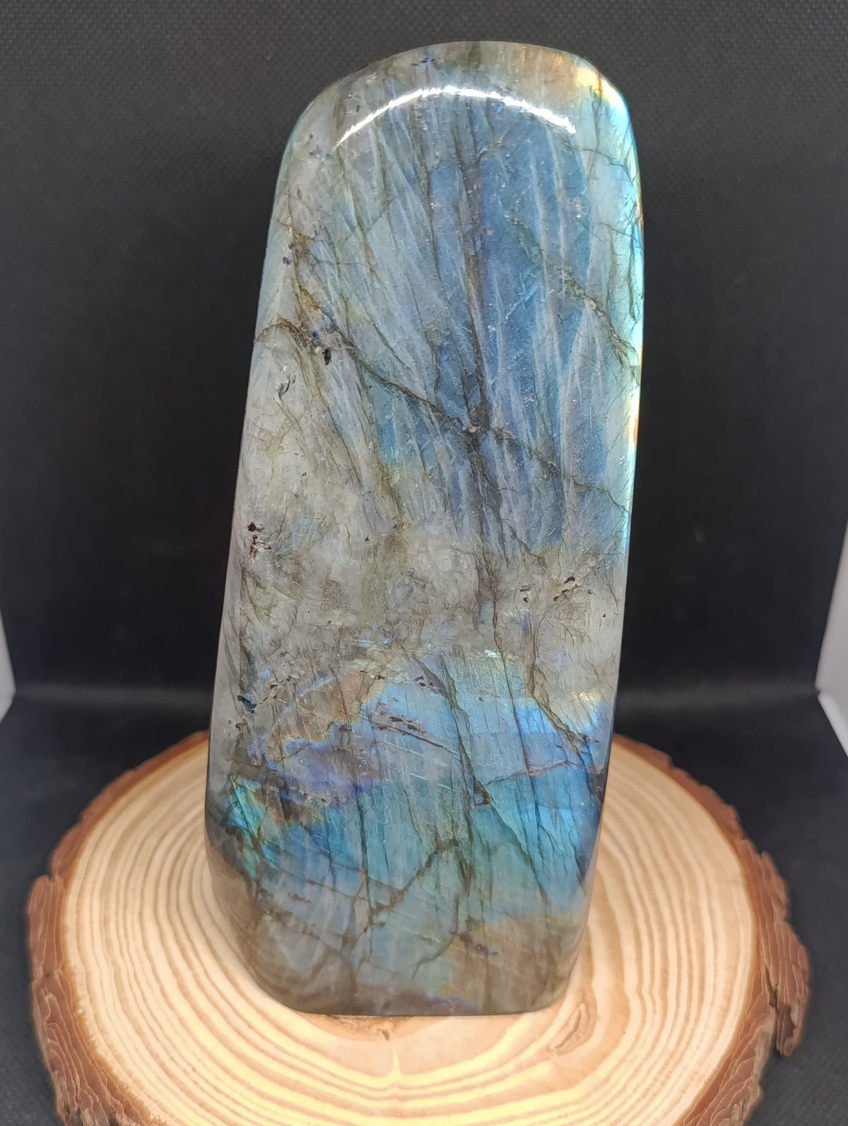 Forme libre Labradorite #5 - 1380gr