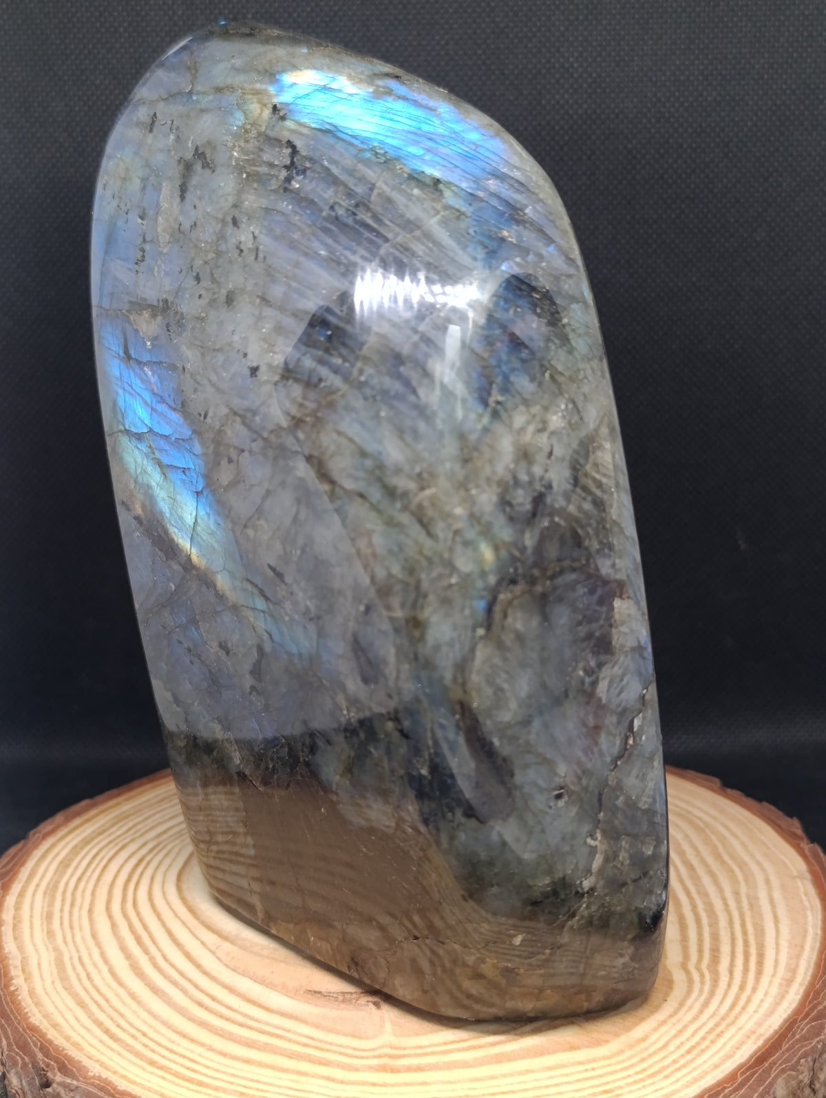 Forme libre Labradorite #4 - 1580gr