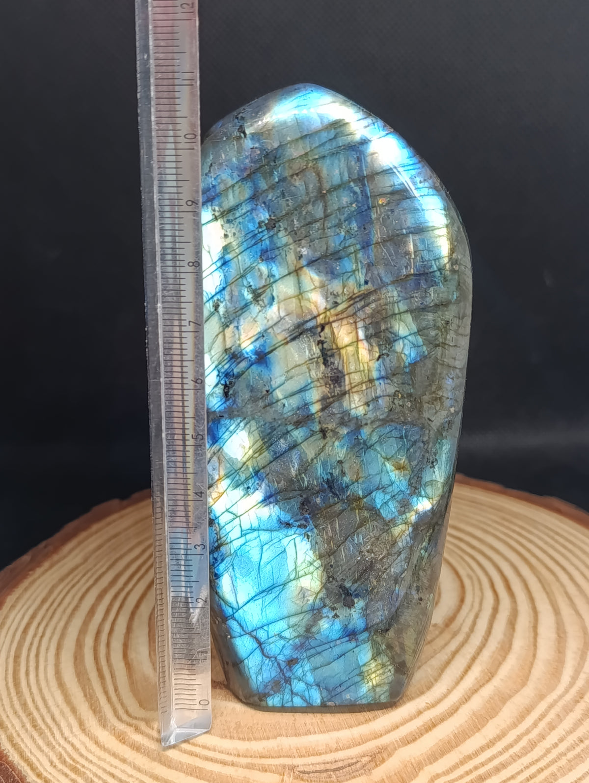Forme libre Labradorite #1 - 520gr
