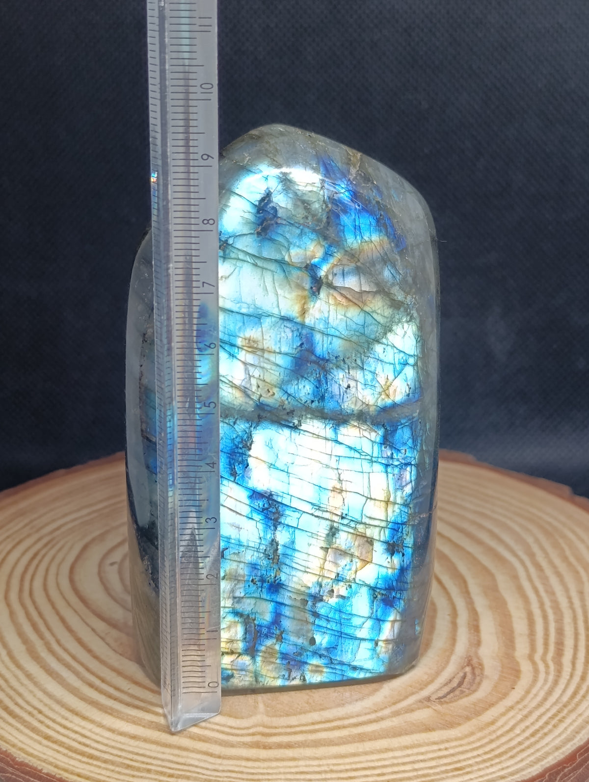 Forme libre Labradorite #3 - 520gr