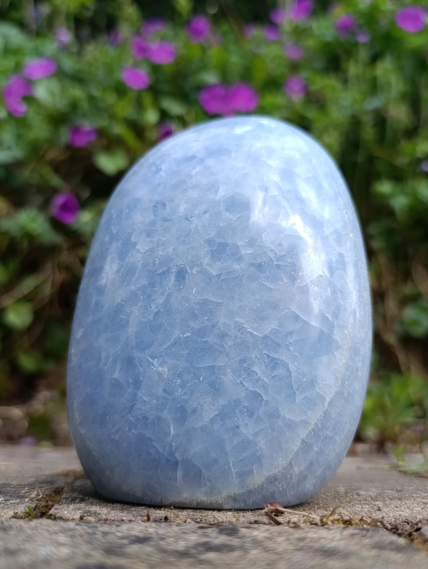 Forme libre Calcite bleue - 814gr