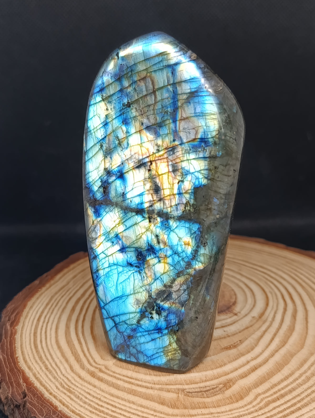 Forme libre Labradorite #1 - 520gr