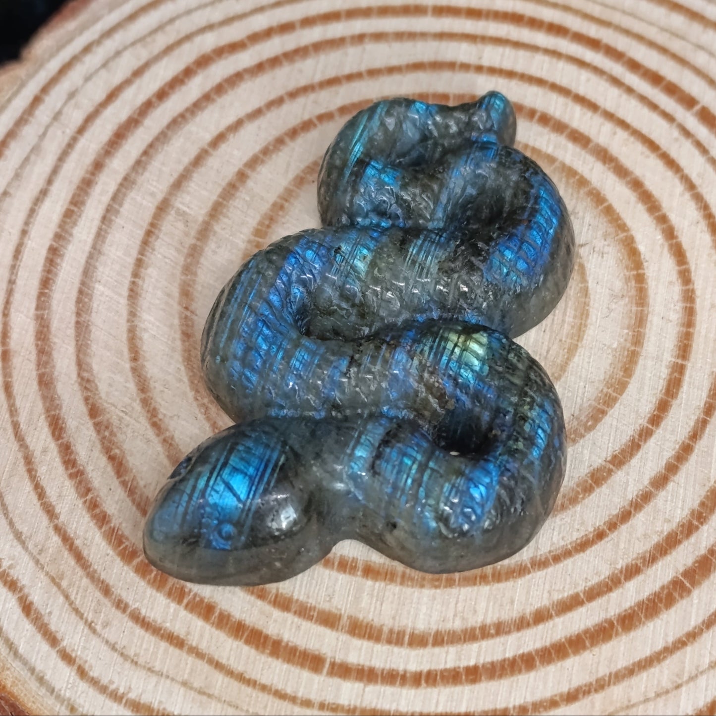 Serpent labradorite - Qualité AA+