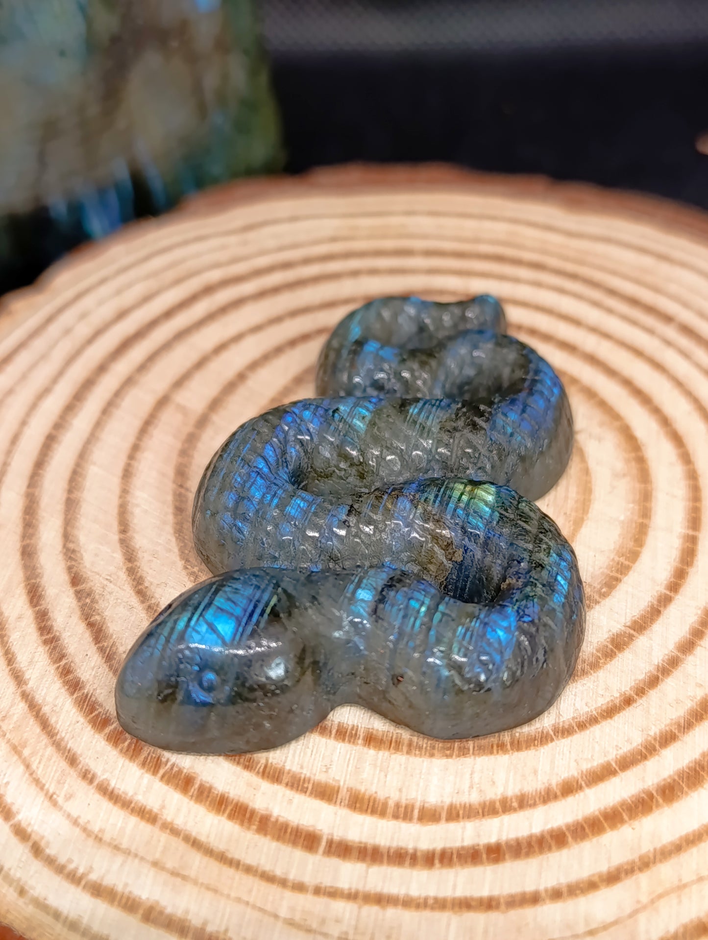 Serpent labradorite - Qualité AA+