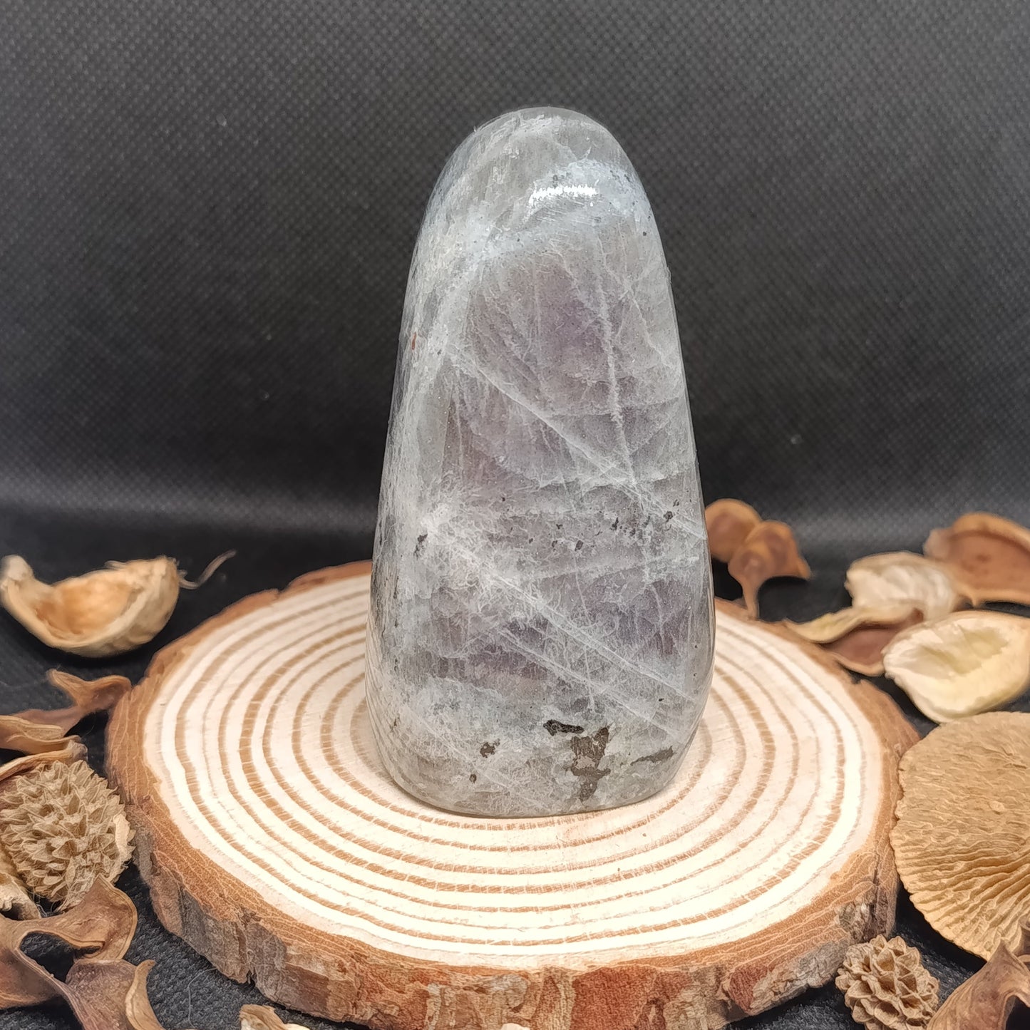 Forme libre Labradorite violette - 254gr - Qualité AA