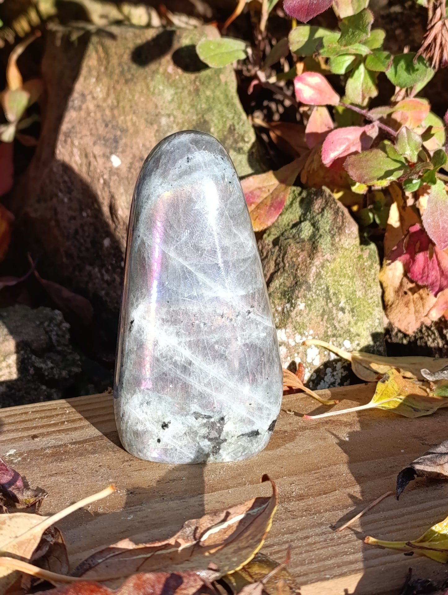 Forme libre Labradorite violette - 254gr - Qualité AA