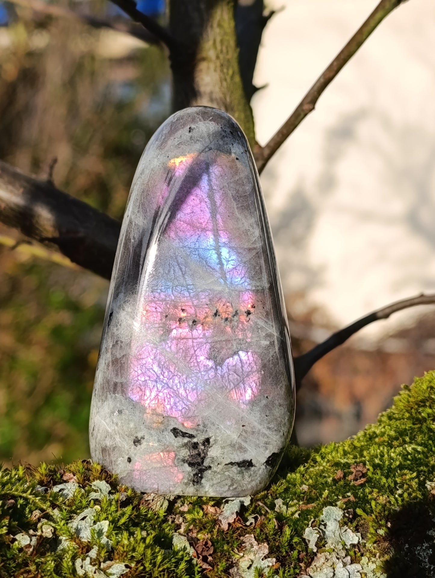 Forme libre Labradorite violette - 254gr - Qualité AA