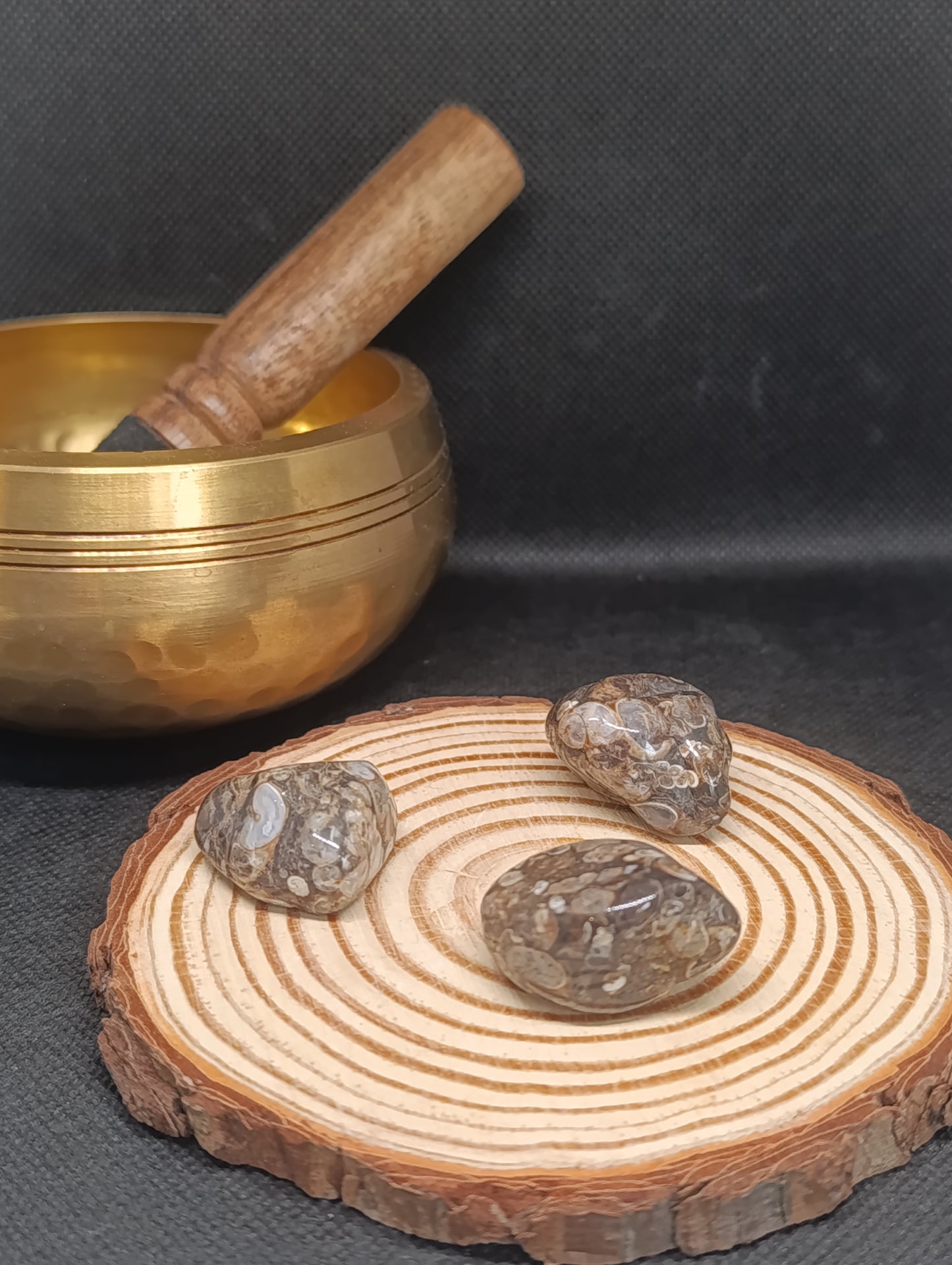 Pierre Roulée Agate Fossile