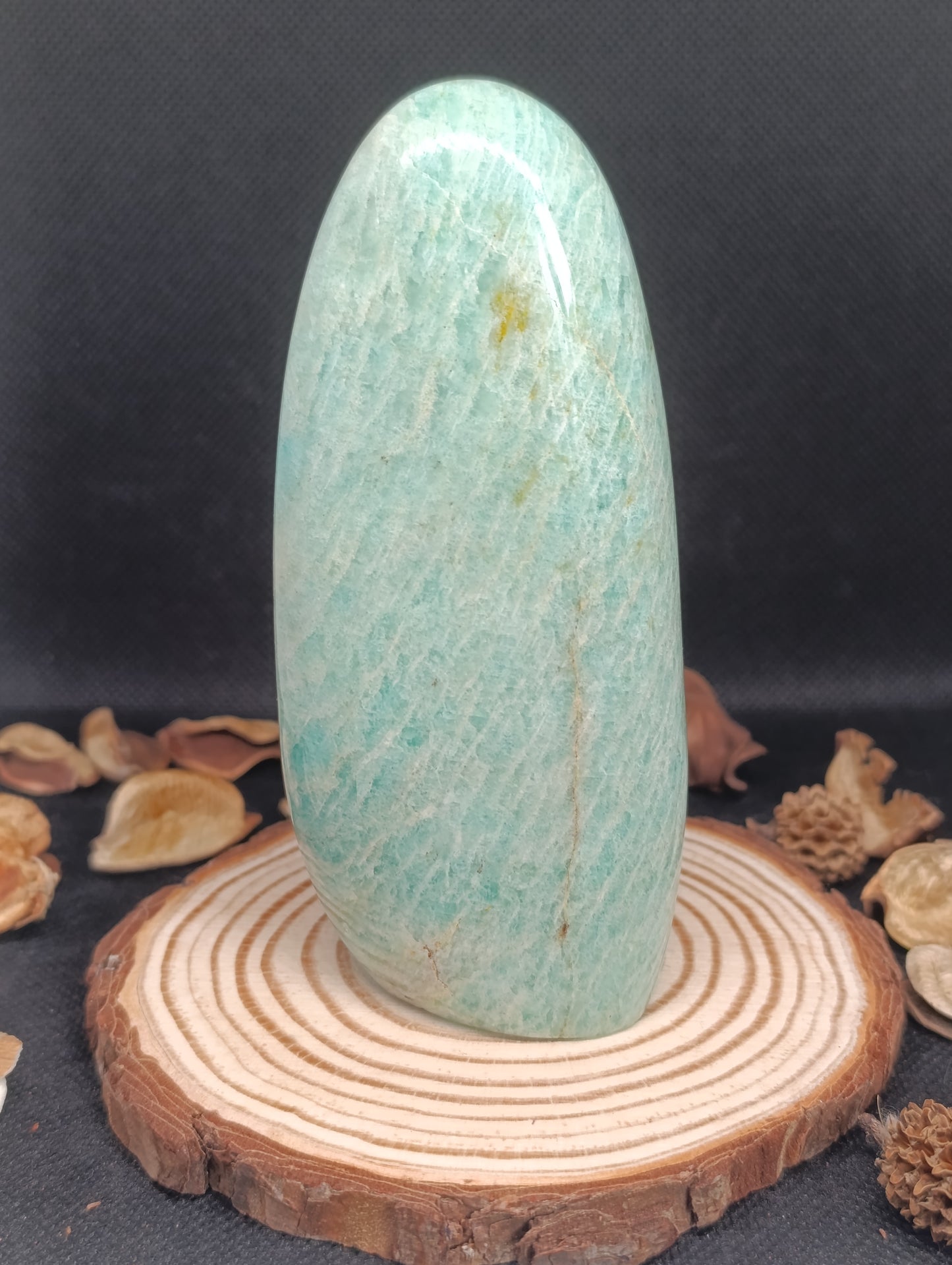 Forme libre Amazonite - 367gr