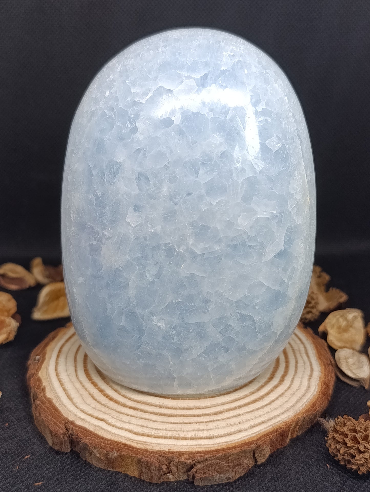 Forme libre Calcite bleue - 814gr