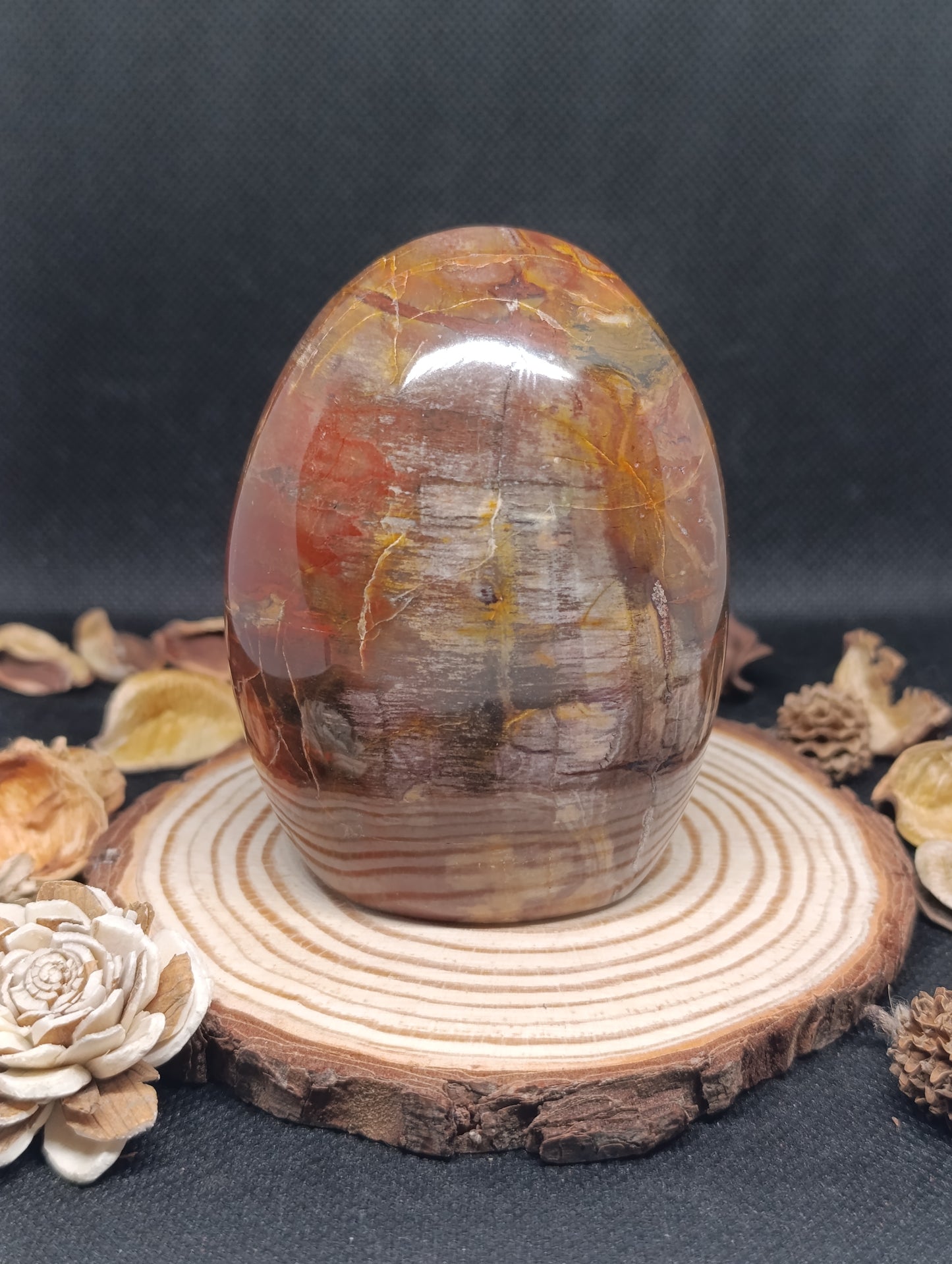Forme libre Bois fossilisé - 446gr - Qualité AA