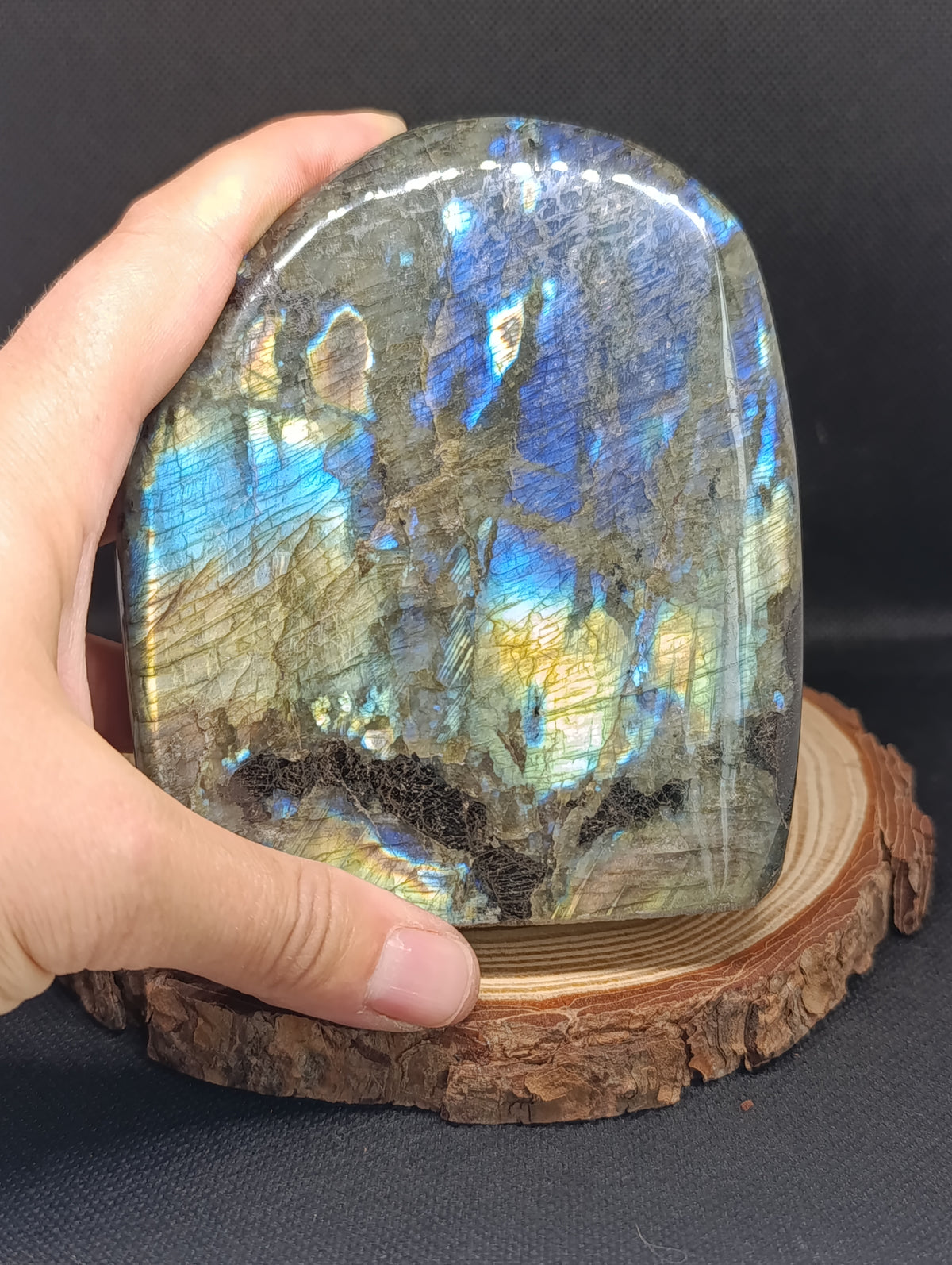 Forme libre Labradorite #2 - 1280gr