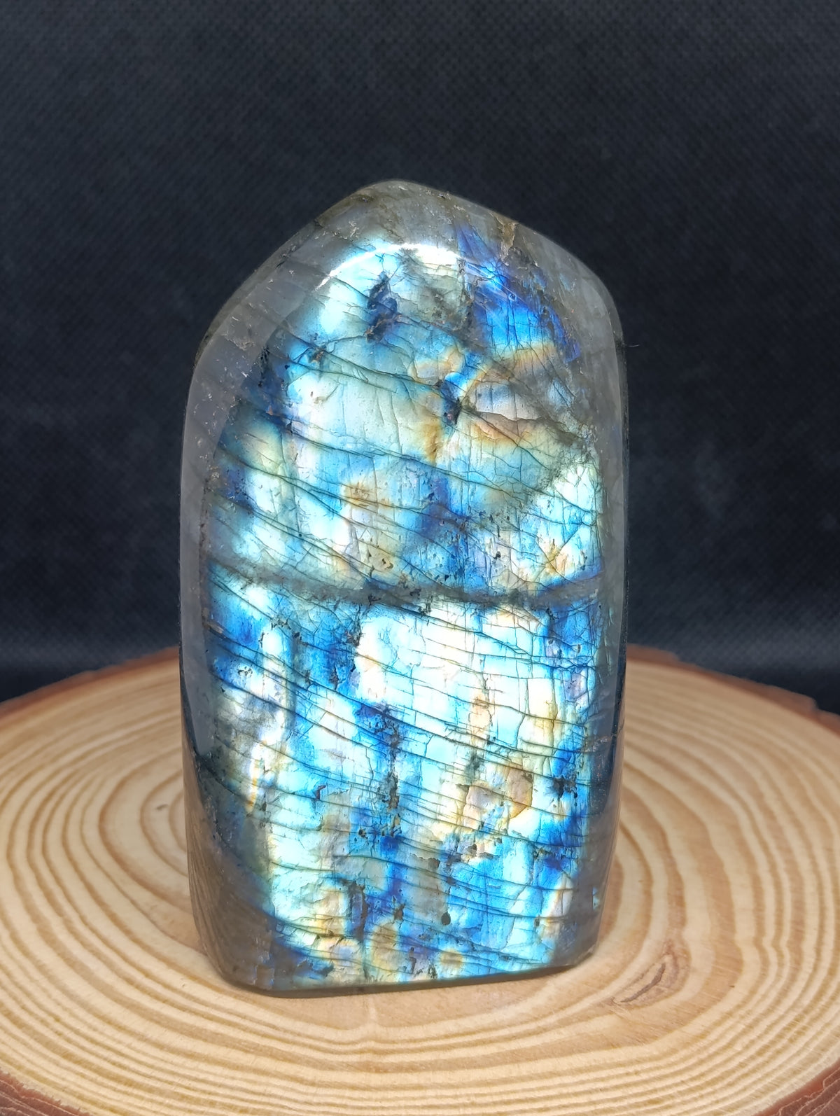 Forme libre Labradorite #3 - 520gr