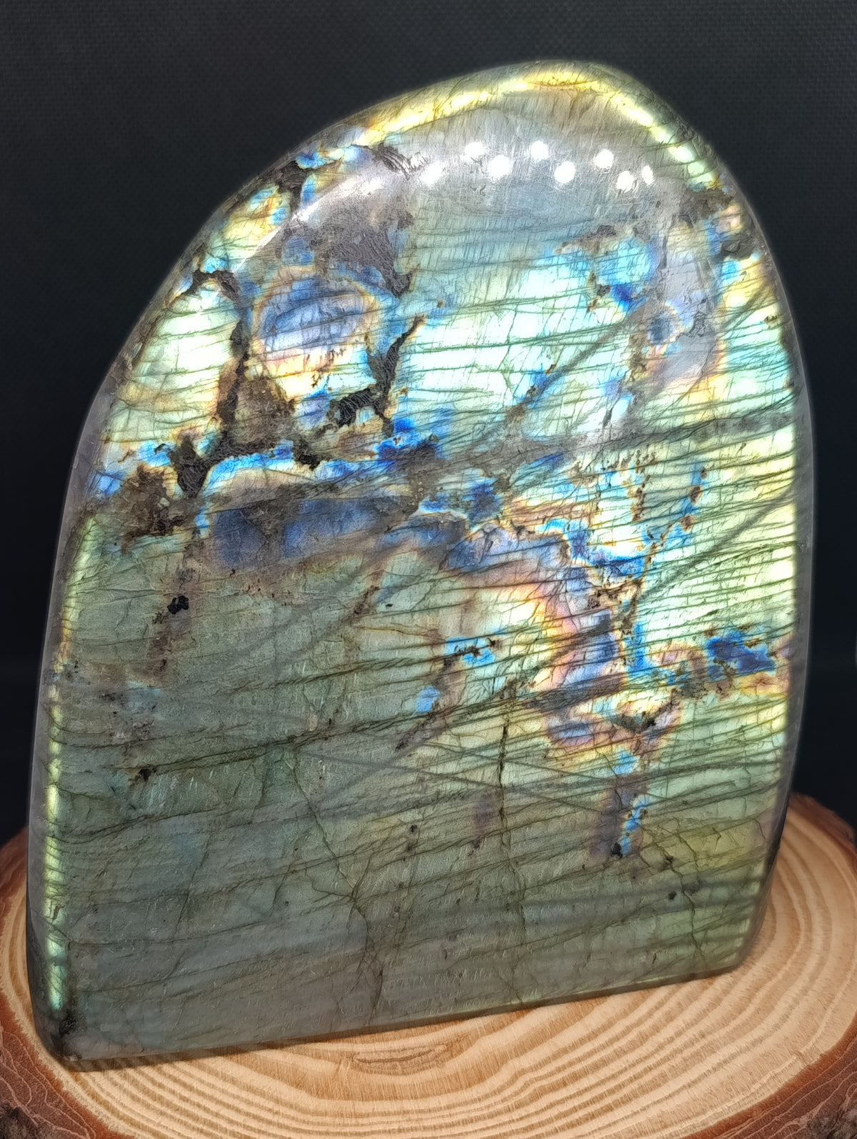 Forme libre Labradorite #6 - 1920gr