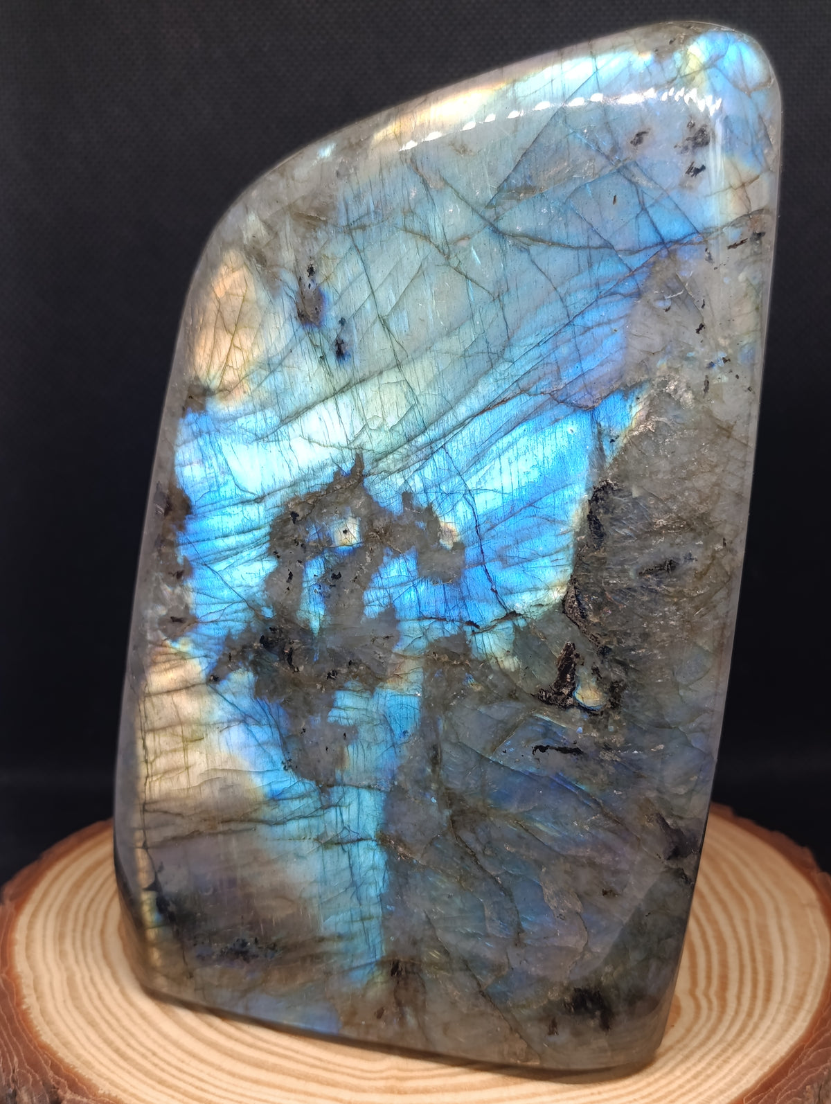 Forme libre Labradorite #4 - 1580gr