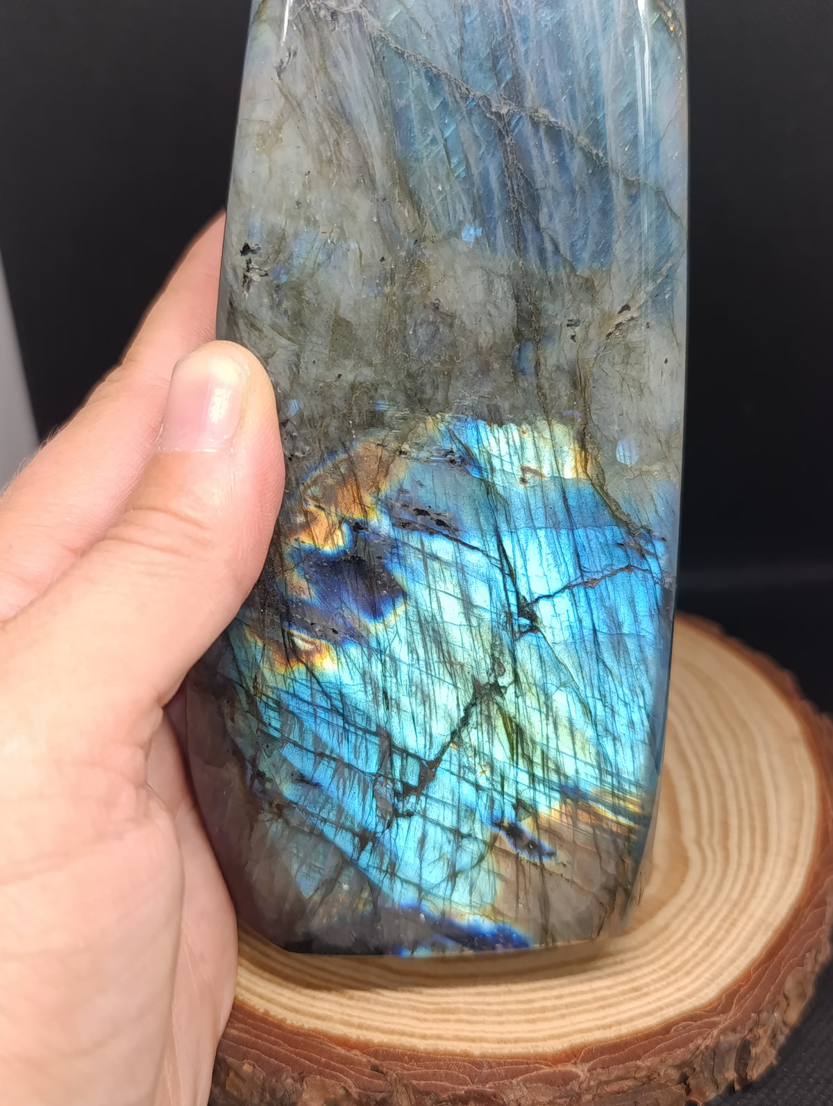 Forme libre Labradorite #5 - 1380gr