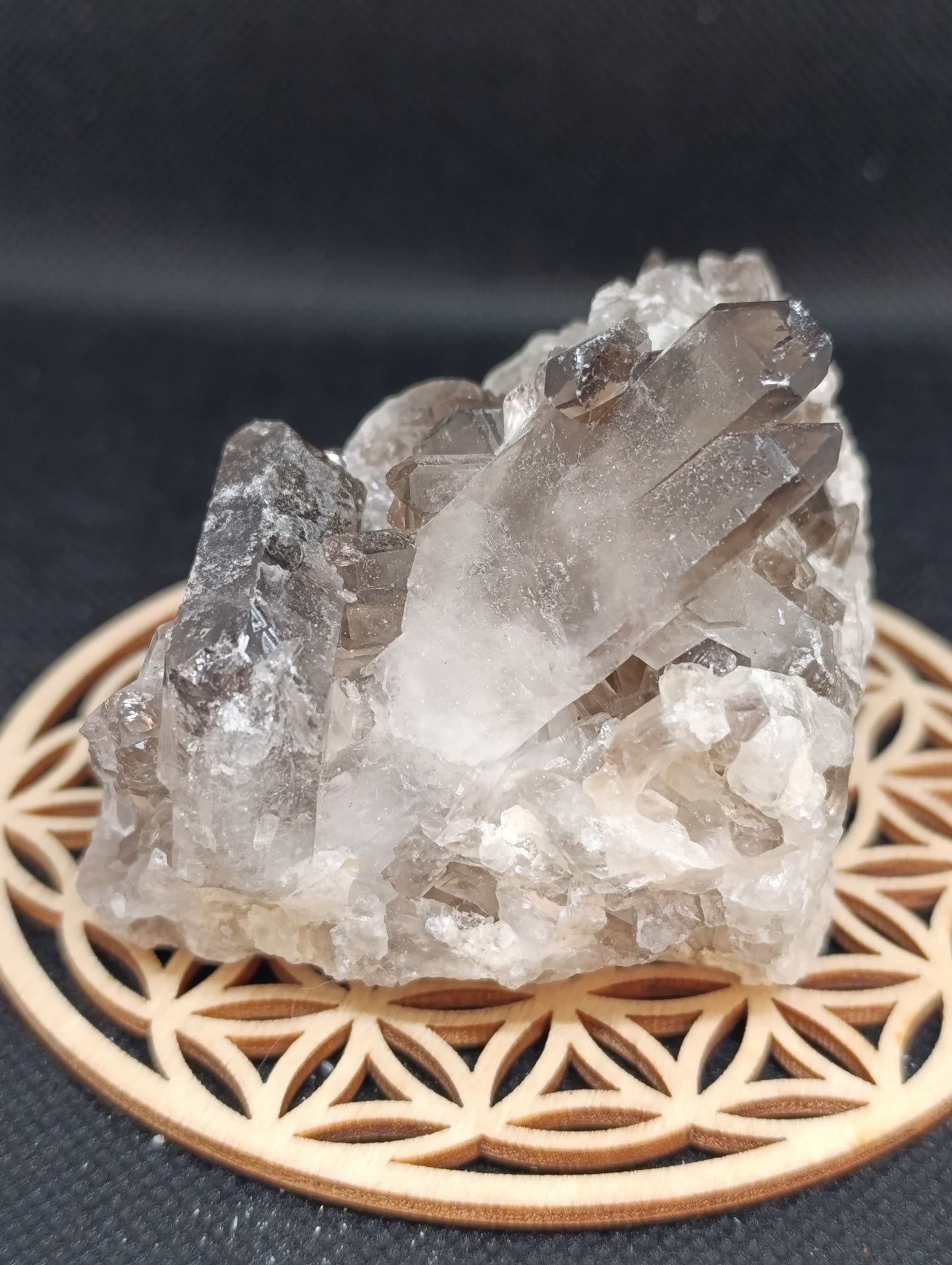 Druse quartz fumé - 220gr