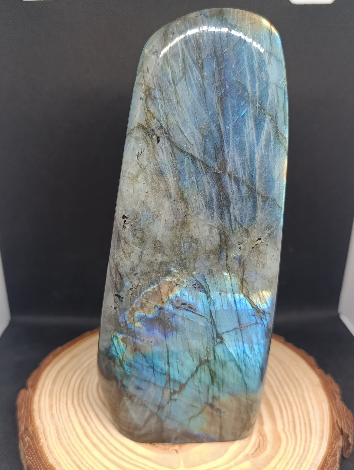 Forme libre Labradorite #5 - 1380gr