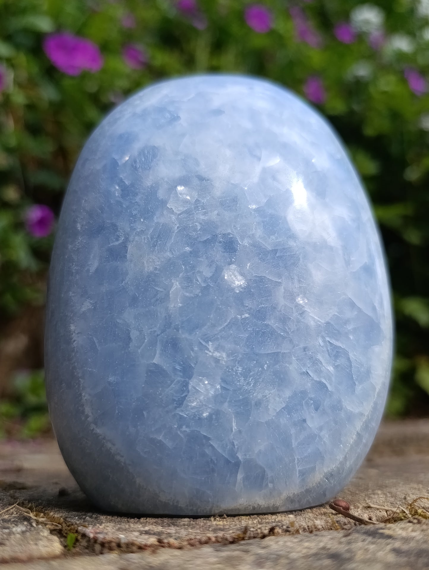 Forme libre Calcite bleue - 814gr