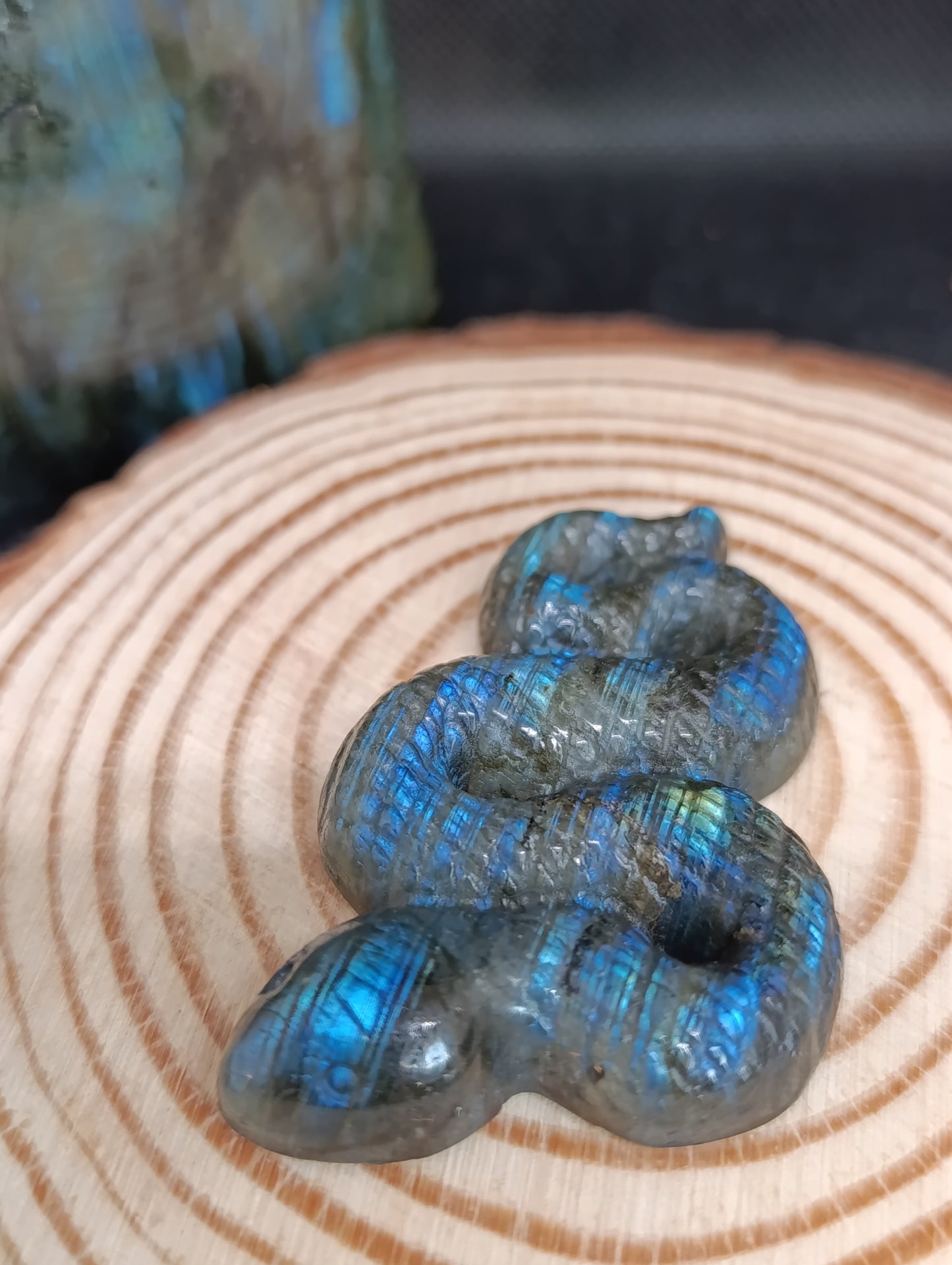 Serpent labradorite - Qualité AA+
