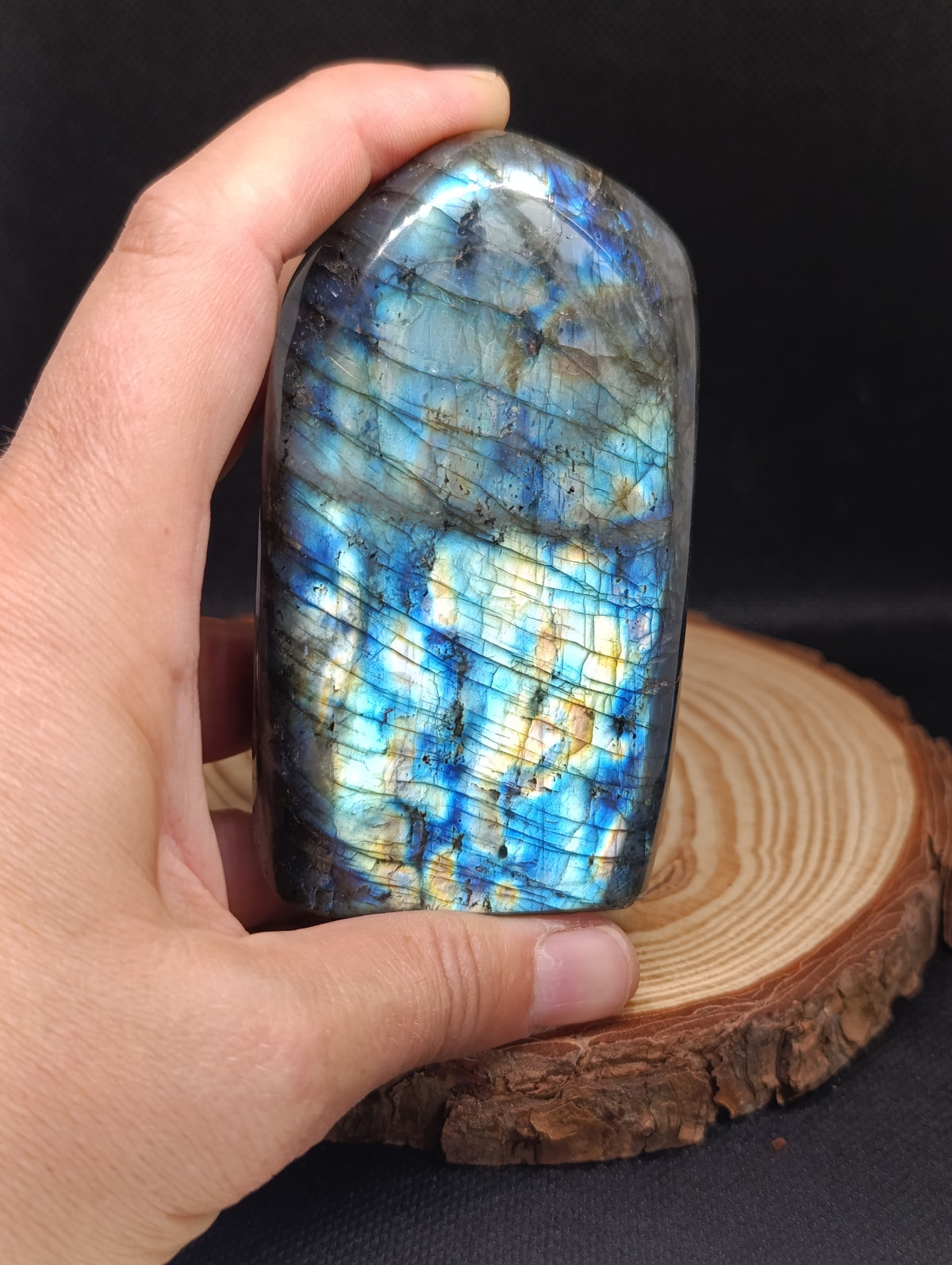 Forme libre Labradorite #1 - 520gr