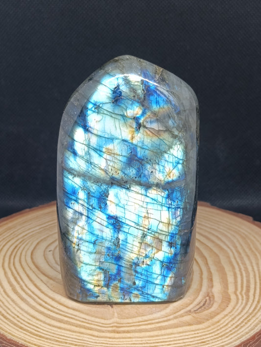 Forme libre Labradorite #3 - 520gr