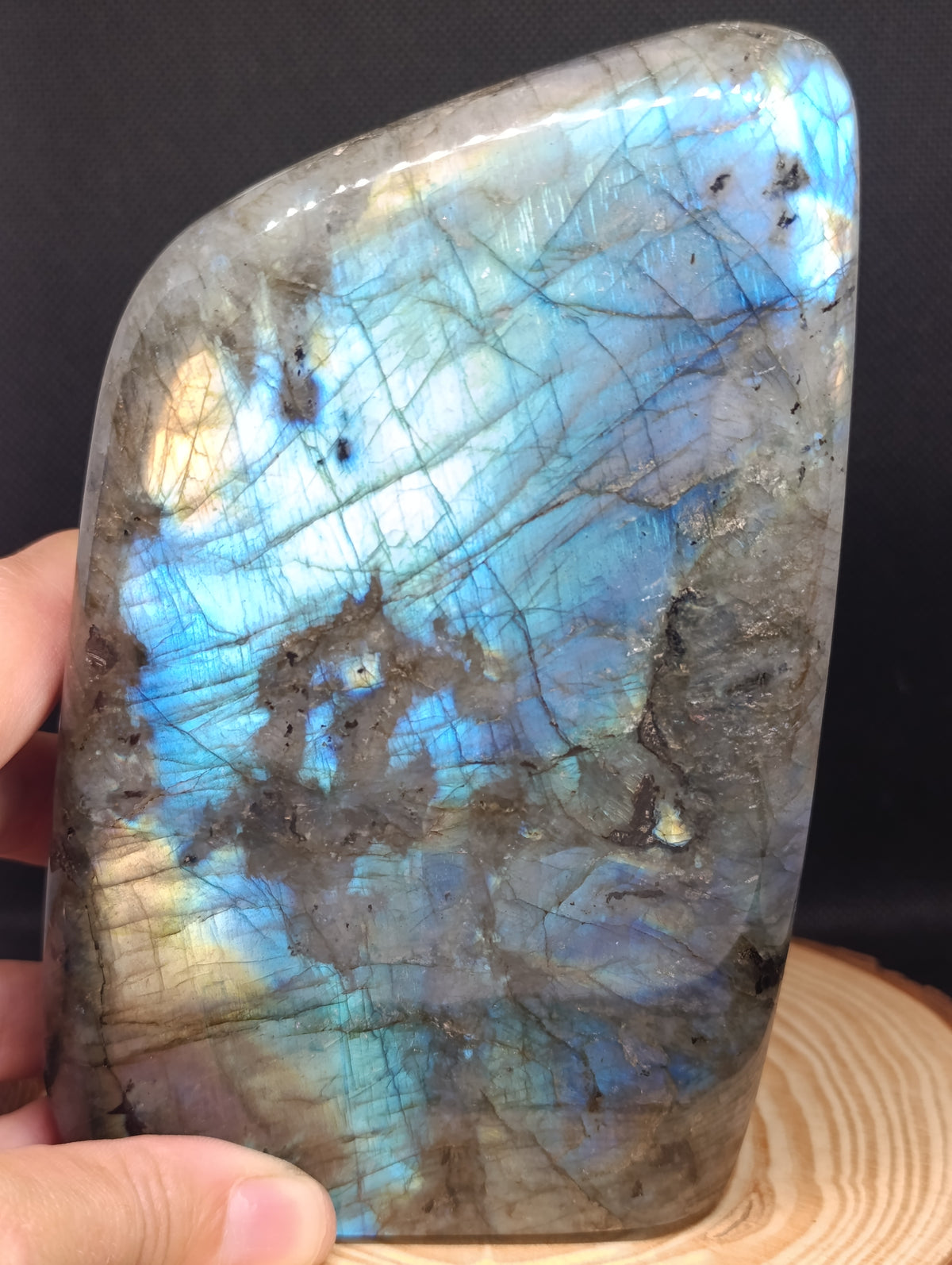 Forme libre Labradorite #4 - 1580gr